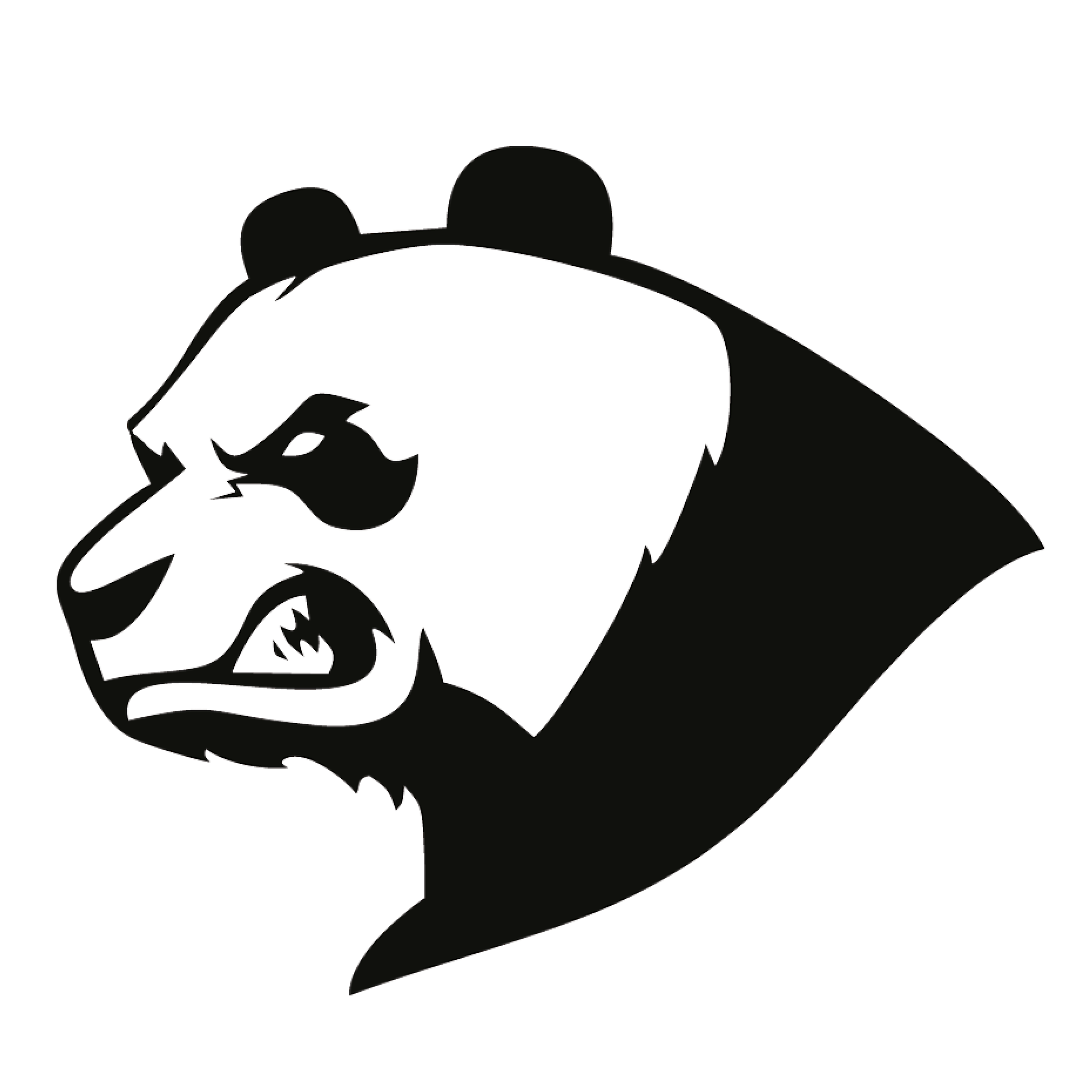AngryPanda Studios